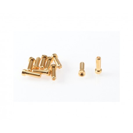Ruddog 5mm Gold Plug male 10pcs.