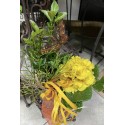 Blumen Arrangement