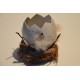Ei im Nest