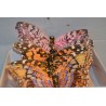 Schmetterlings Set XL